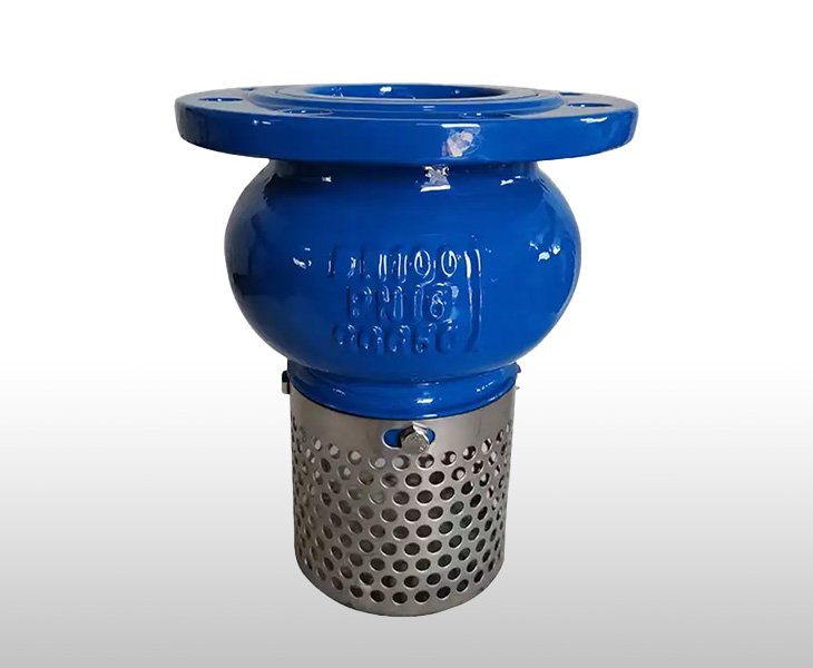 Specifications of Foot Valve