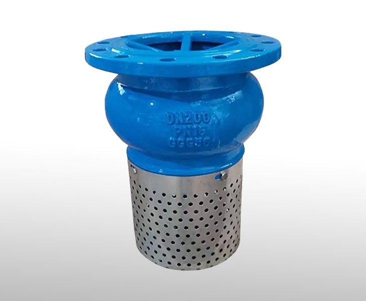 Features of Foot Valve