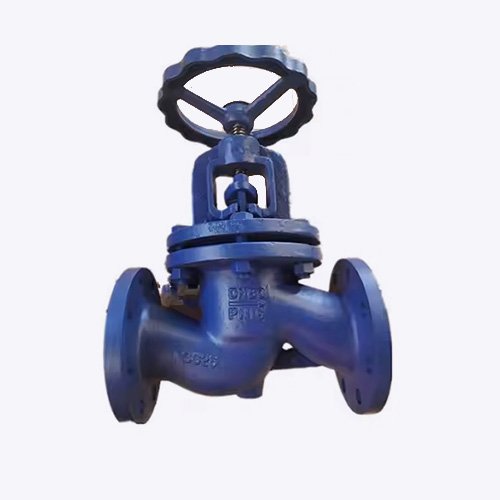 Globe Valve