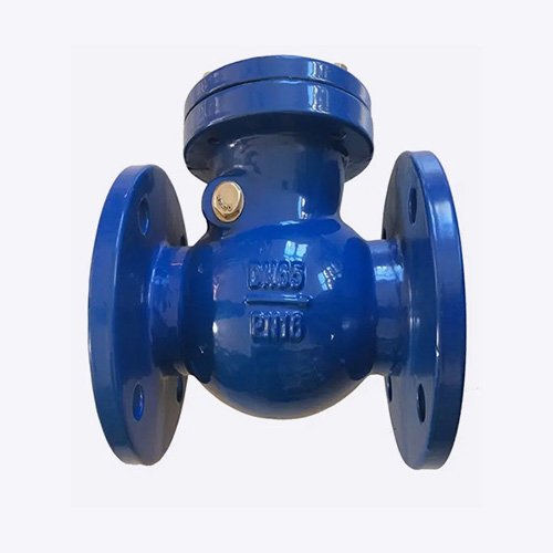 Check Valve