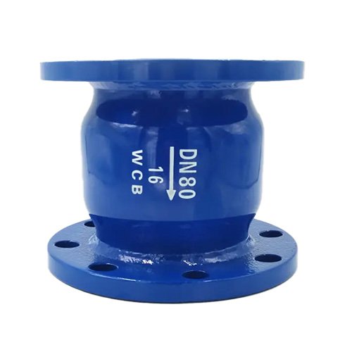 DN80 CHECK VALVE