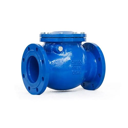 Swing Check Valve