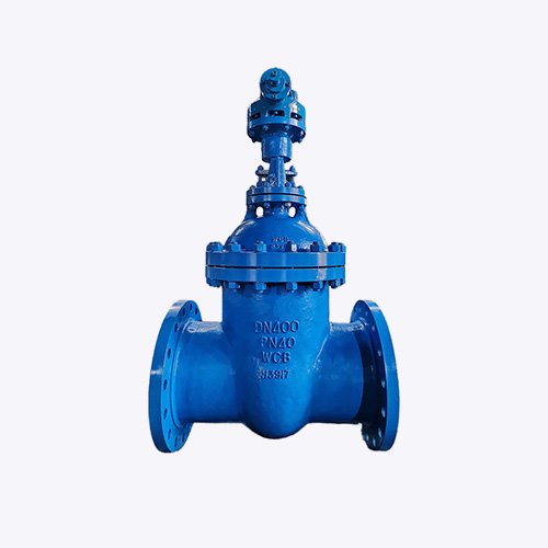 WCB Gate Valve