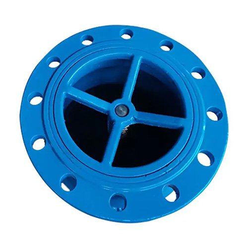 foot valve DN80