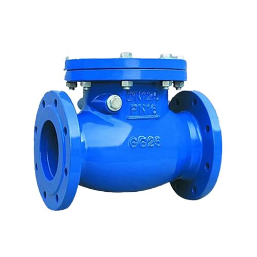 single-petal type swing check valve