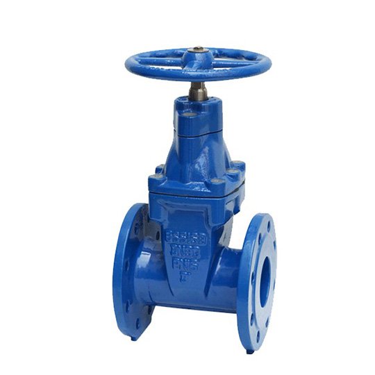 BS5163 Resilient Seated Gate Valve