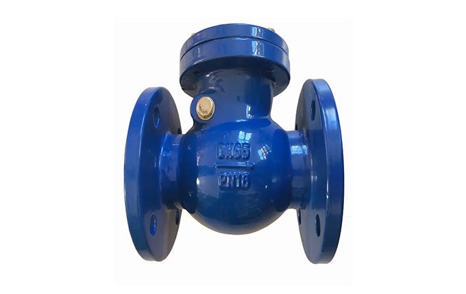 DN65 SWING CHECK VALVE