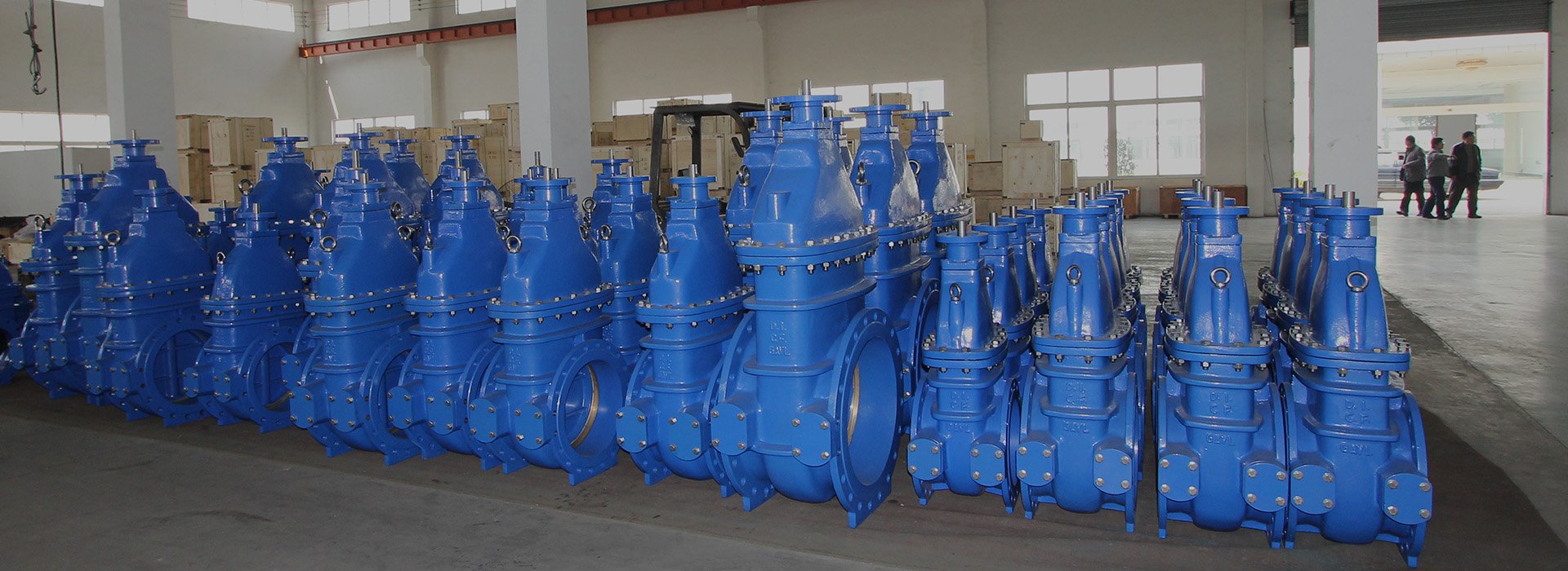 Leading Professional Gate Vales Supplier in China